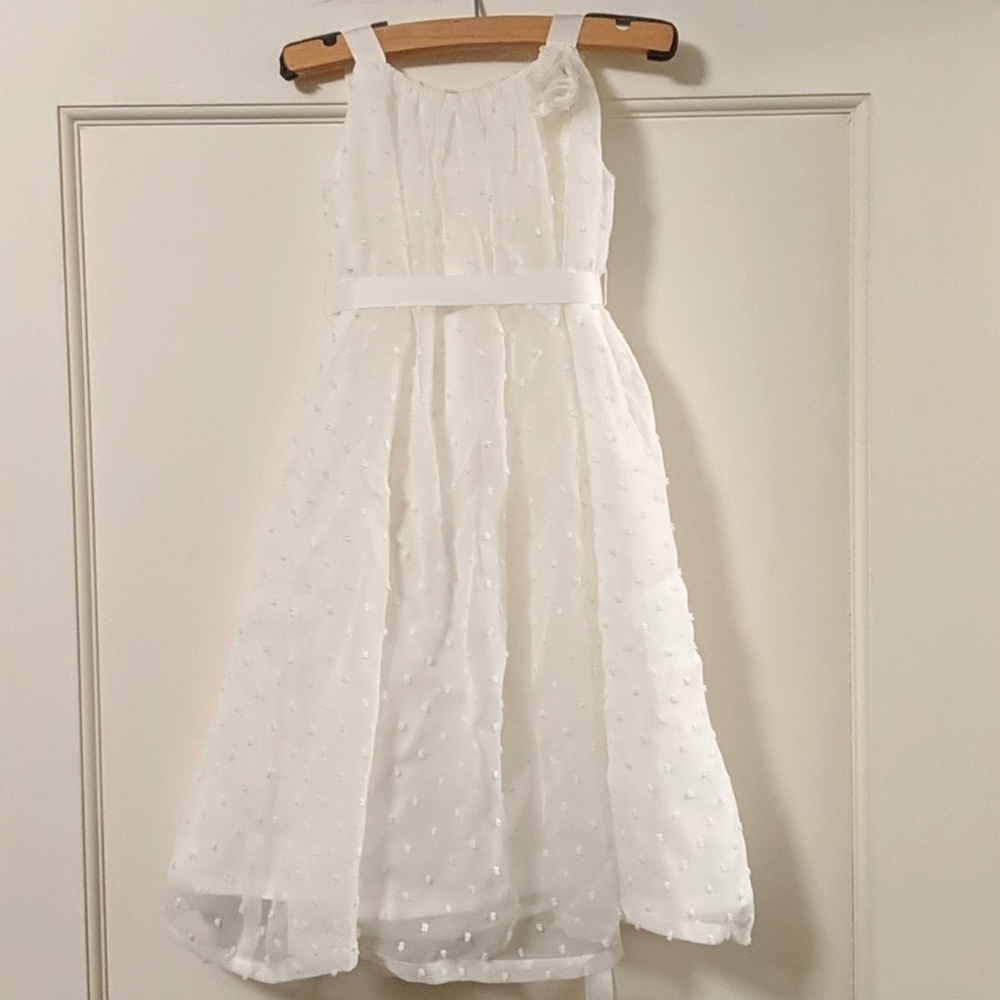 David's Bridal Toddler flower girl dress
